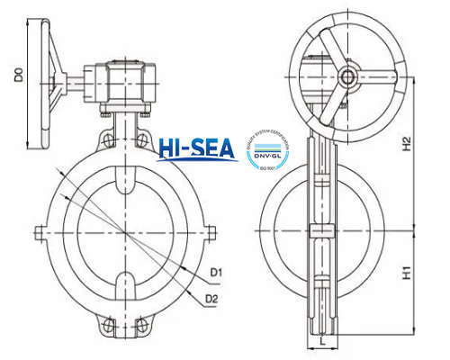 Stainless Steel Butterfly Valve drawing.jpg